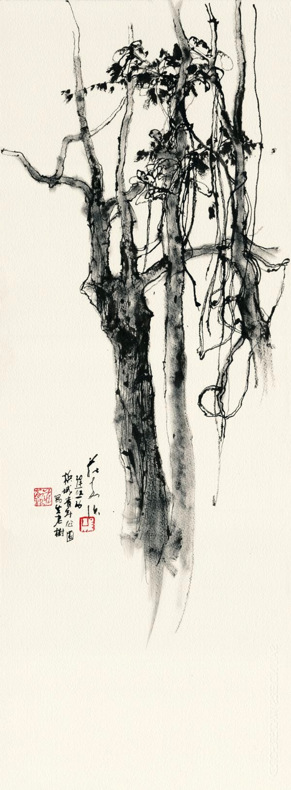 20170226 Trees at Youth Park