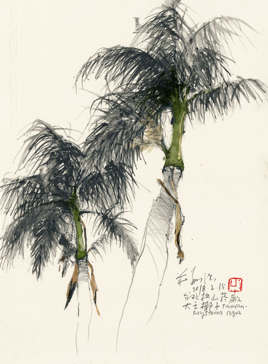 20180215 Roystonea regia, SongShan Cultural and Creative Park, Taipei