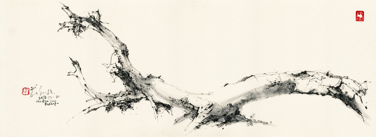 20181230 Tree Study, Hutton Lane, Penang