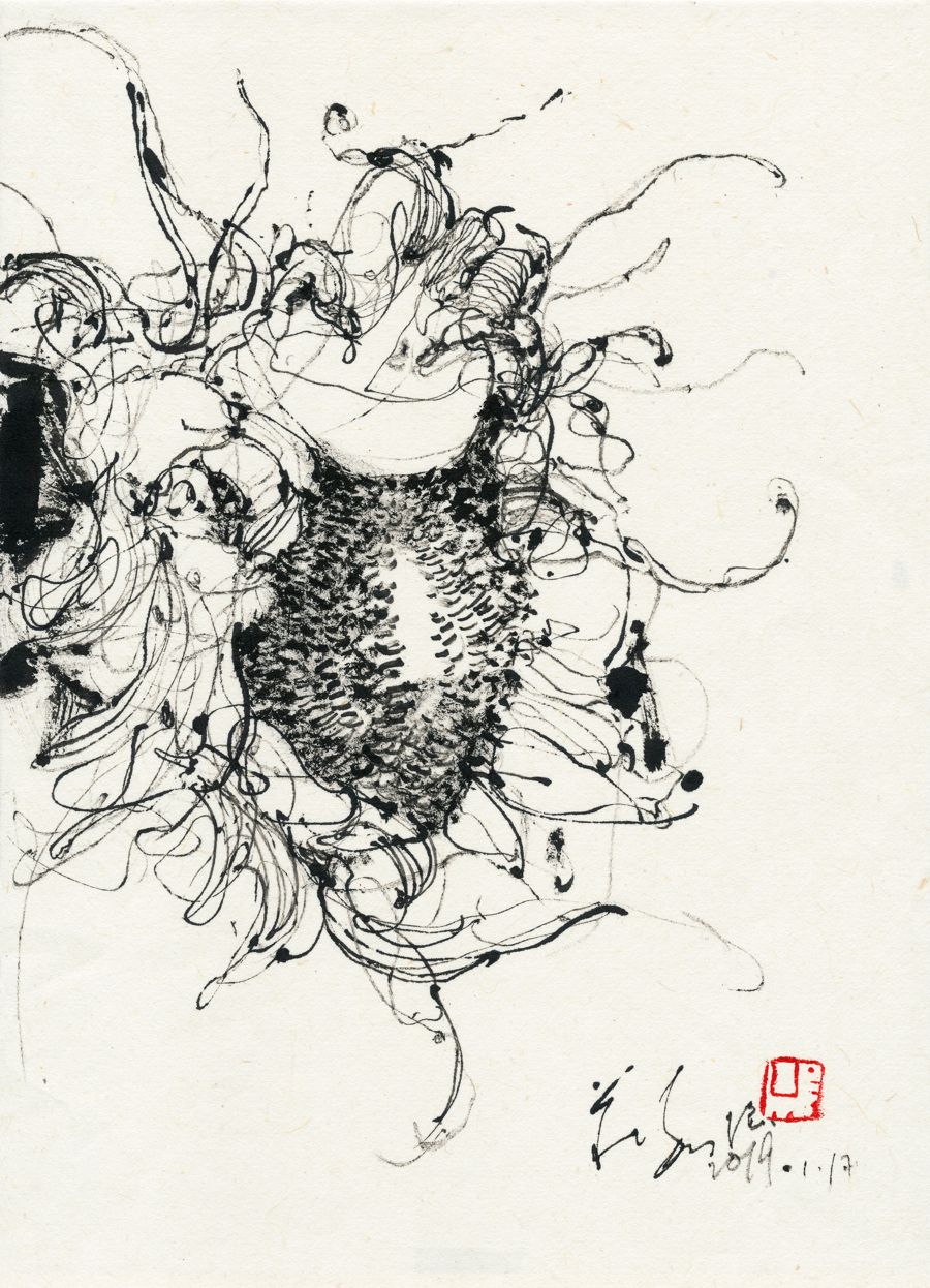 20190117 Sunflower Study