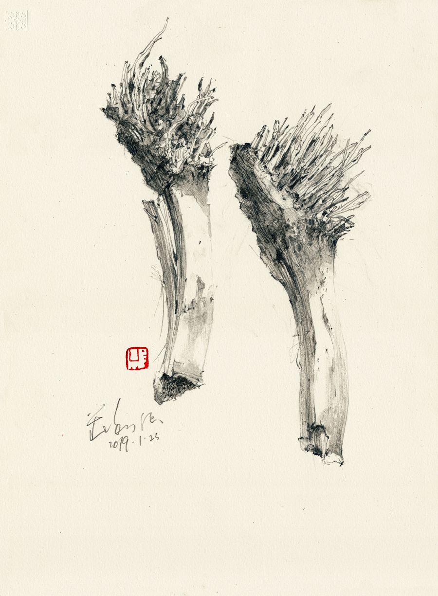 20190123 Two Natural Brushes