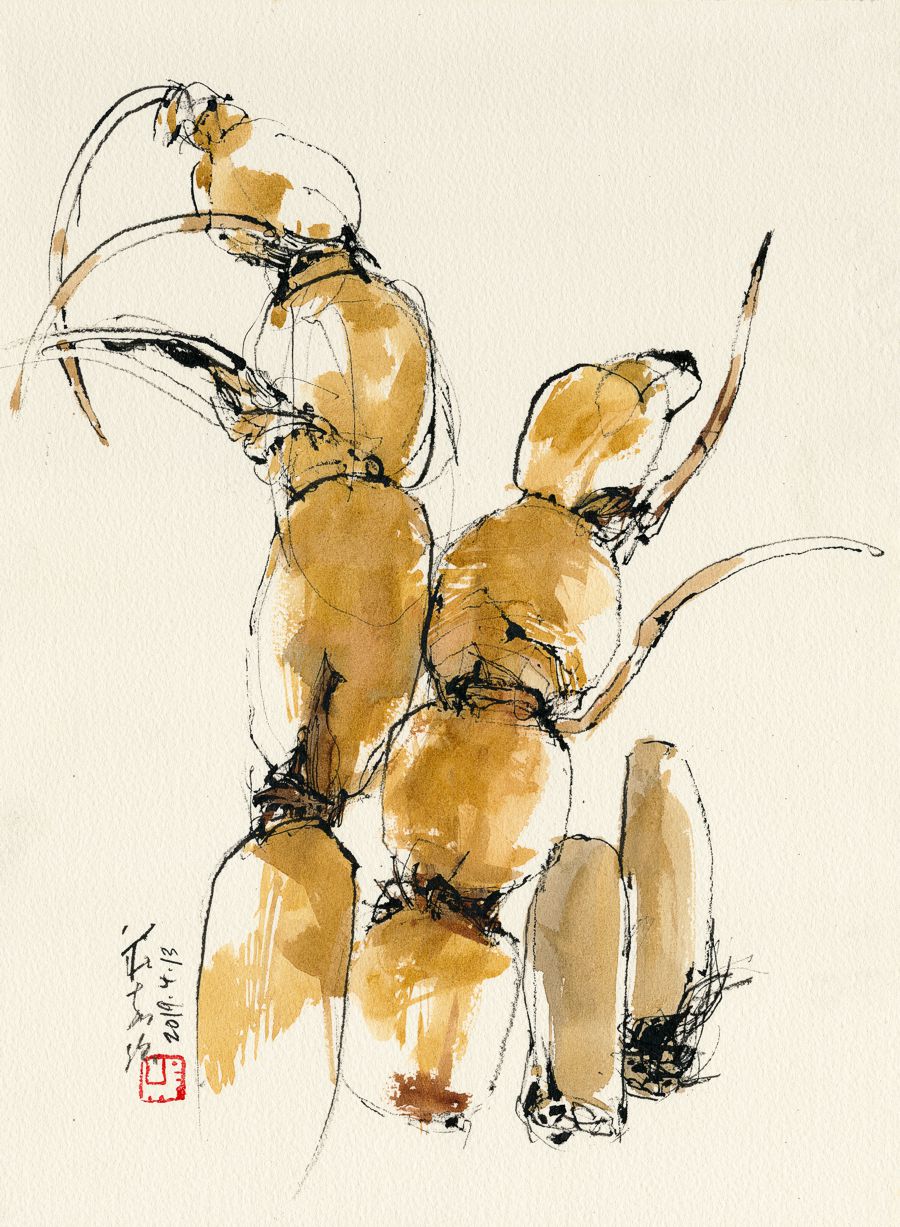20190413 Lotus Root II