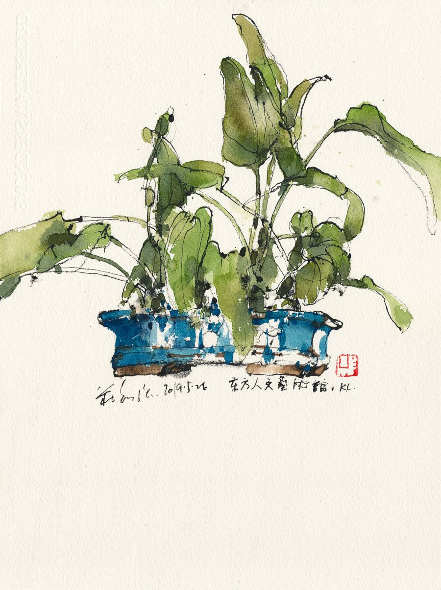 20190526 Potted Plant, OACC, KL