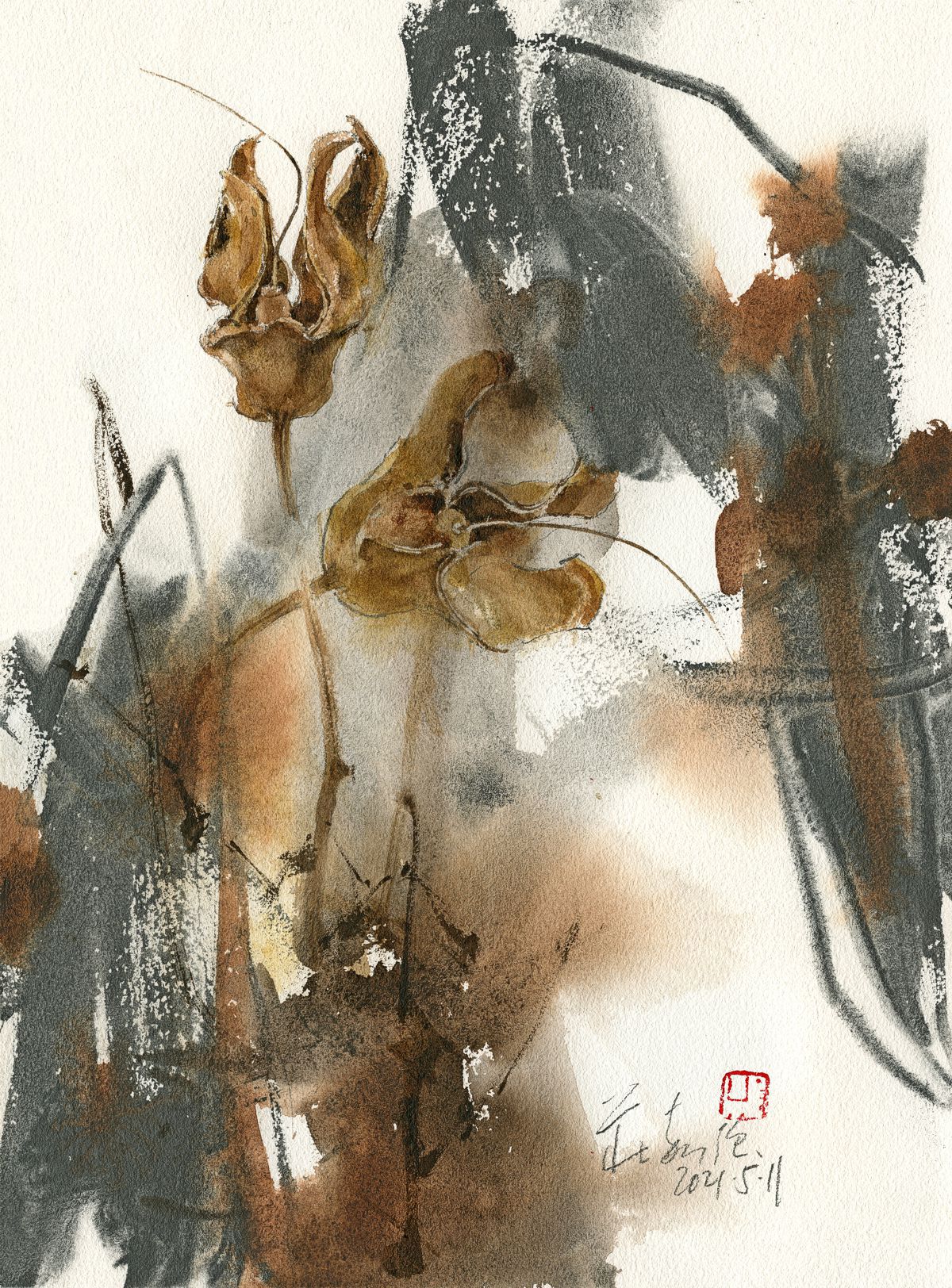 20210511 Dried Flowers Series III