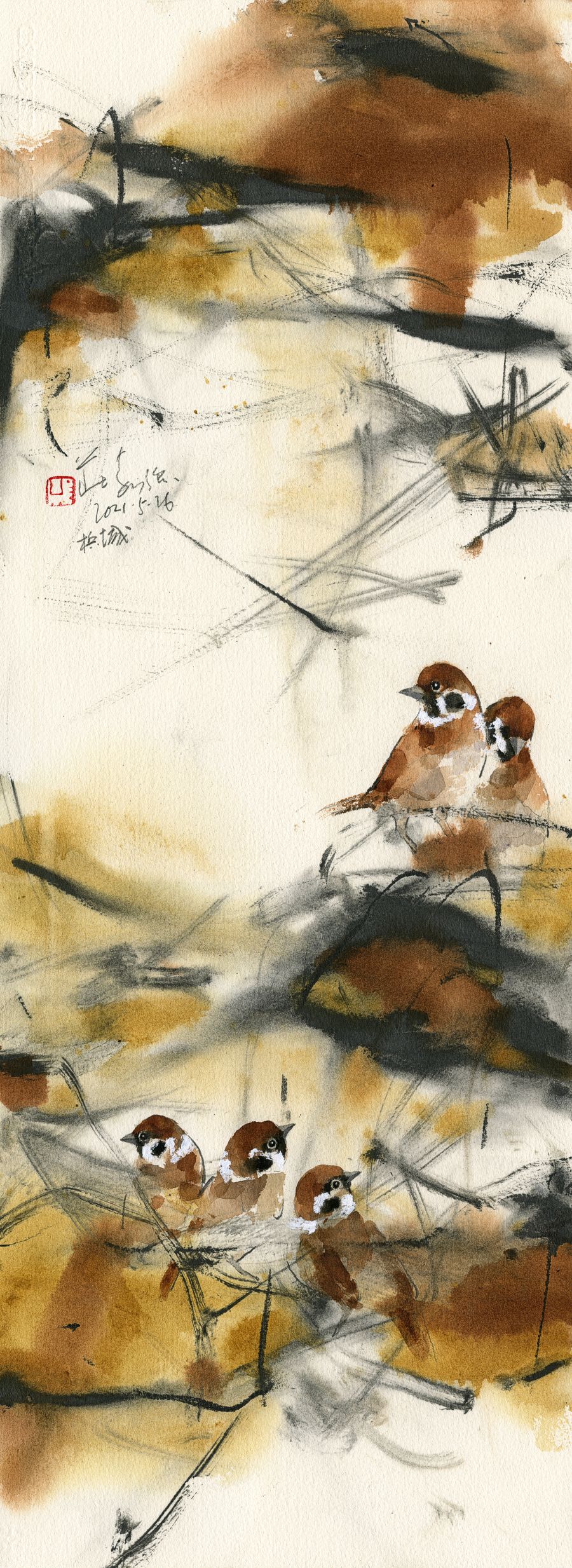 20210526 Yellow Ochre Pipit Series