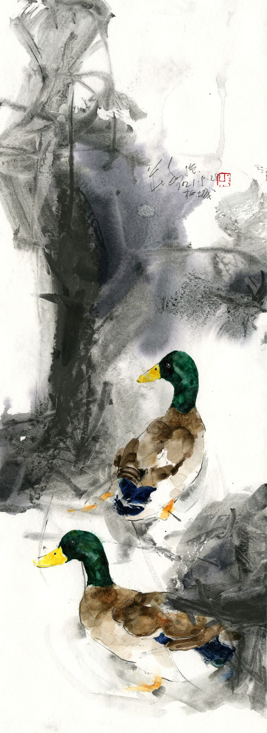 20210528 Ducks Series