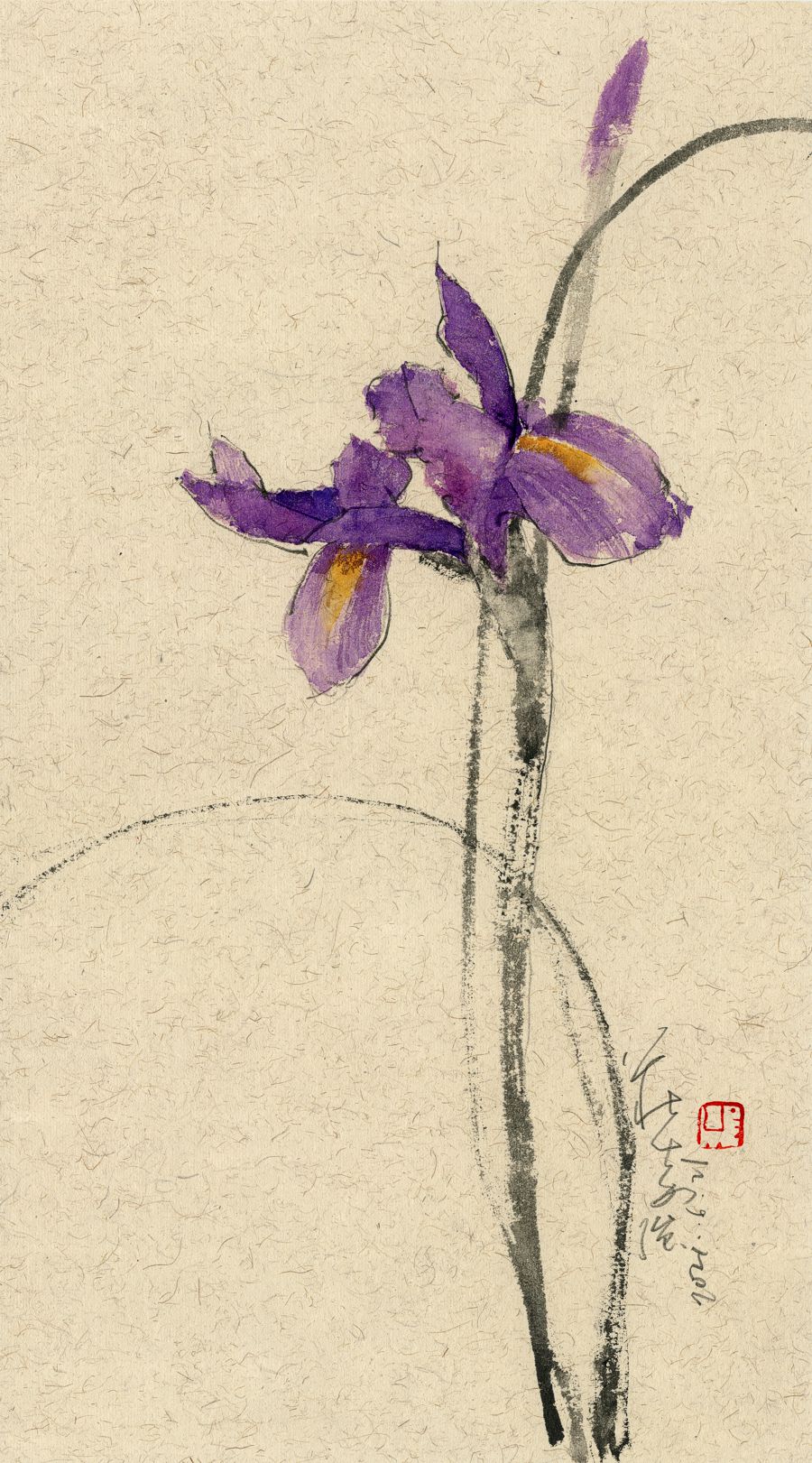 20210621 Iris