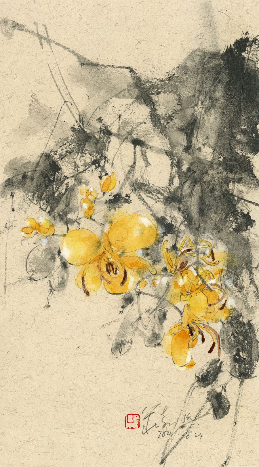 20210624 Cassia