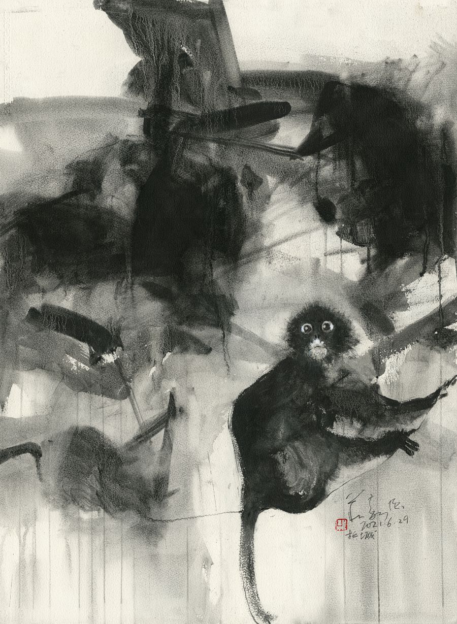 20210629 Langur Series II