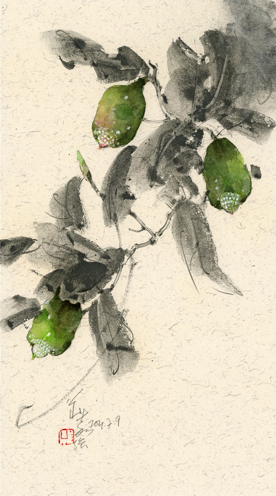 20210709 Ficus