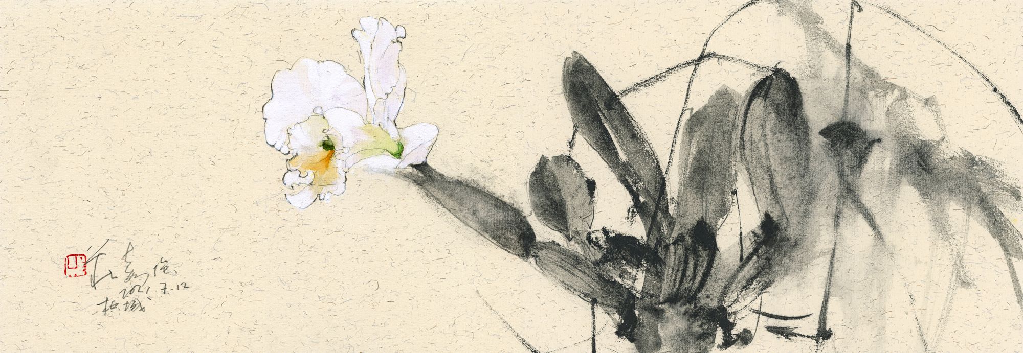 20210712 Orchid Series I