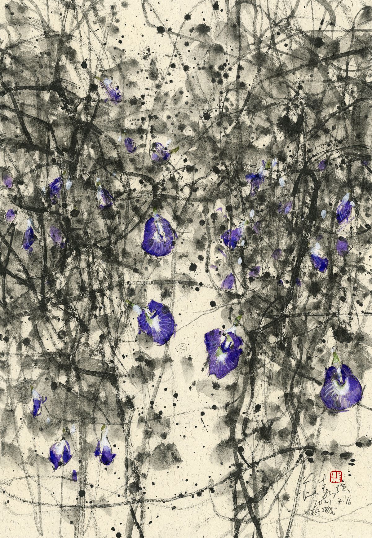 20210716 Butterly Pea Series I