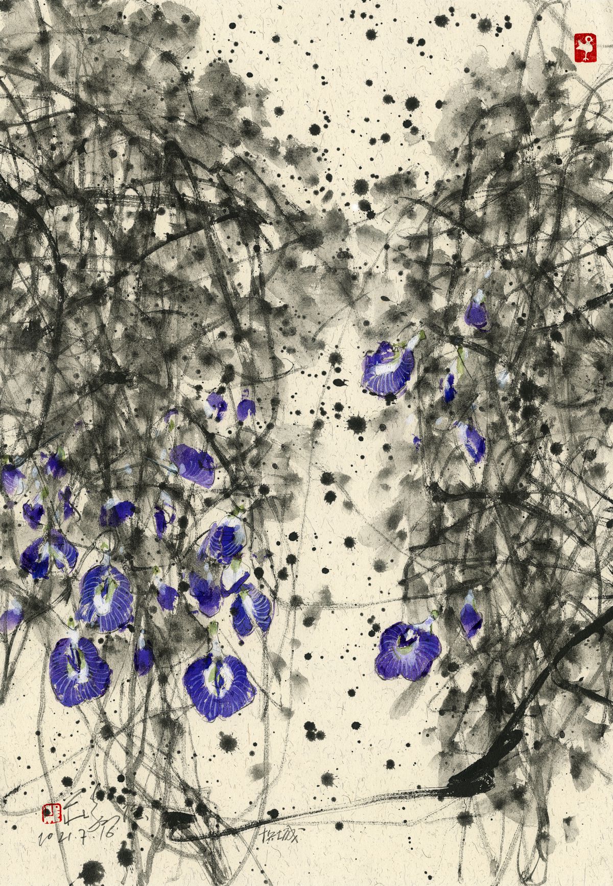 20210716 Butterly Pea Series II