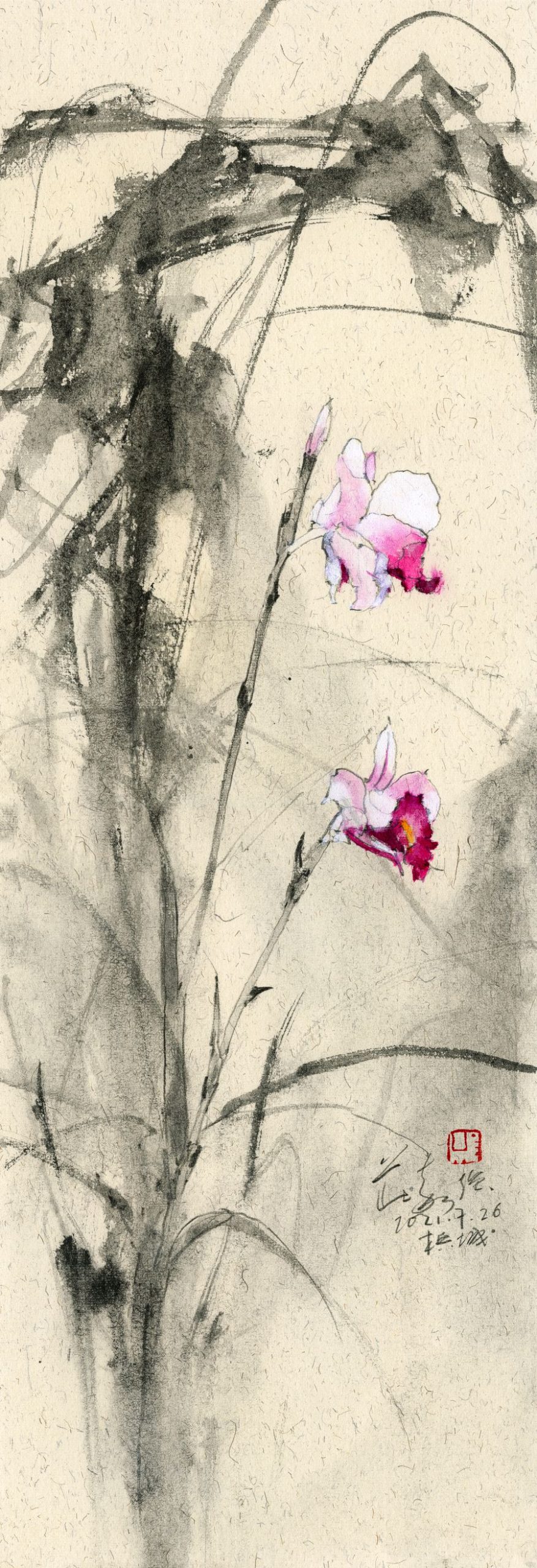 20210726 Orchid Series VII