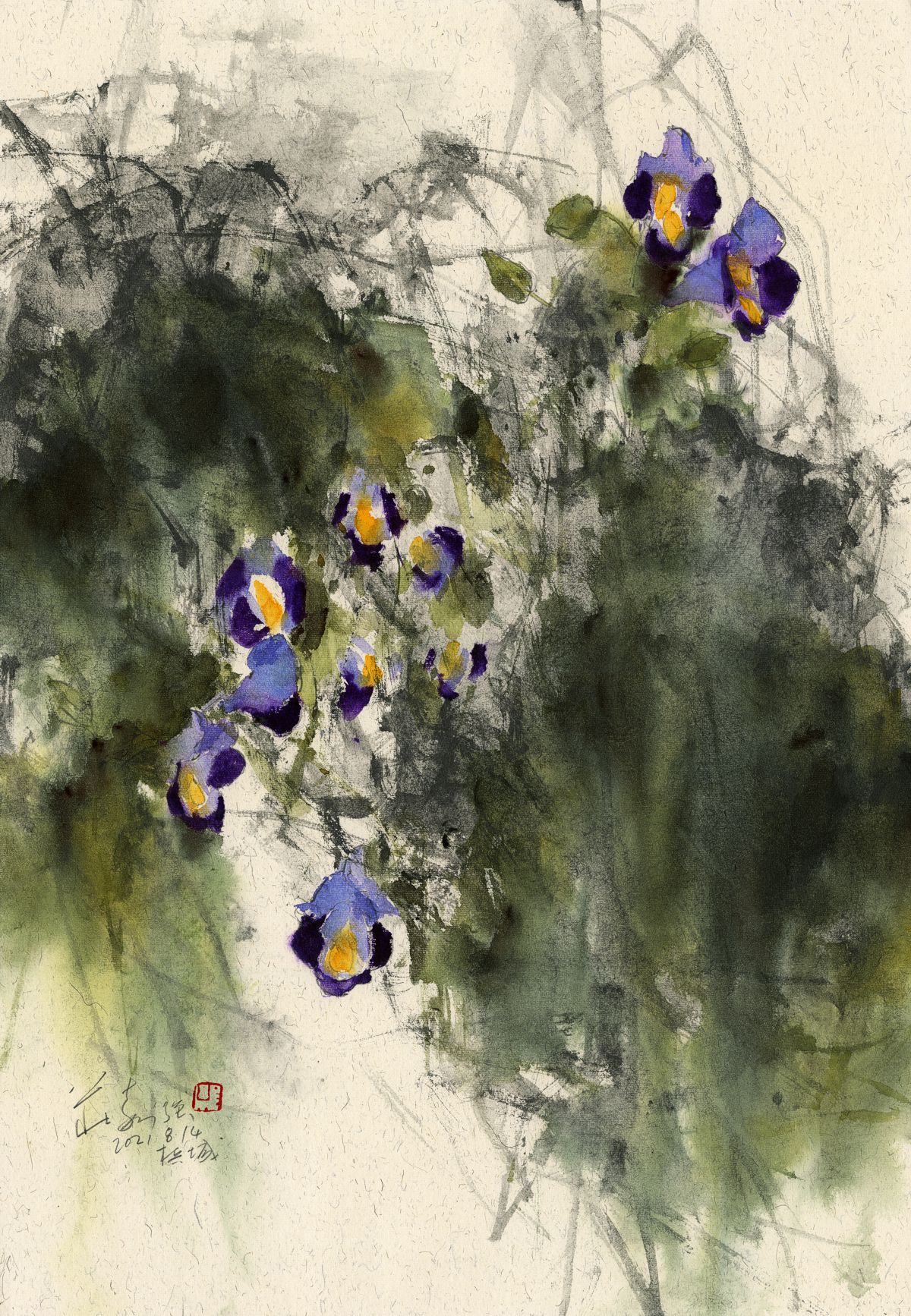 20210814 Wishbone Flower (Torenia fournieri) Series I
