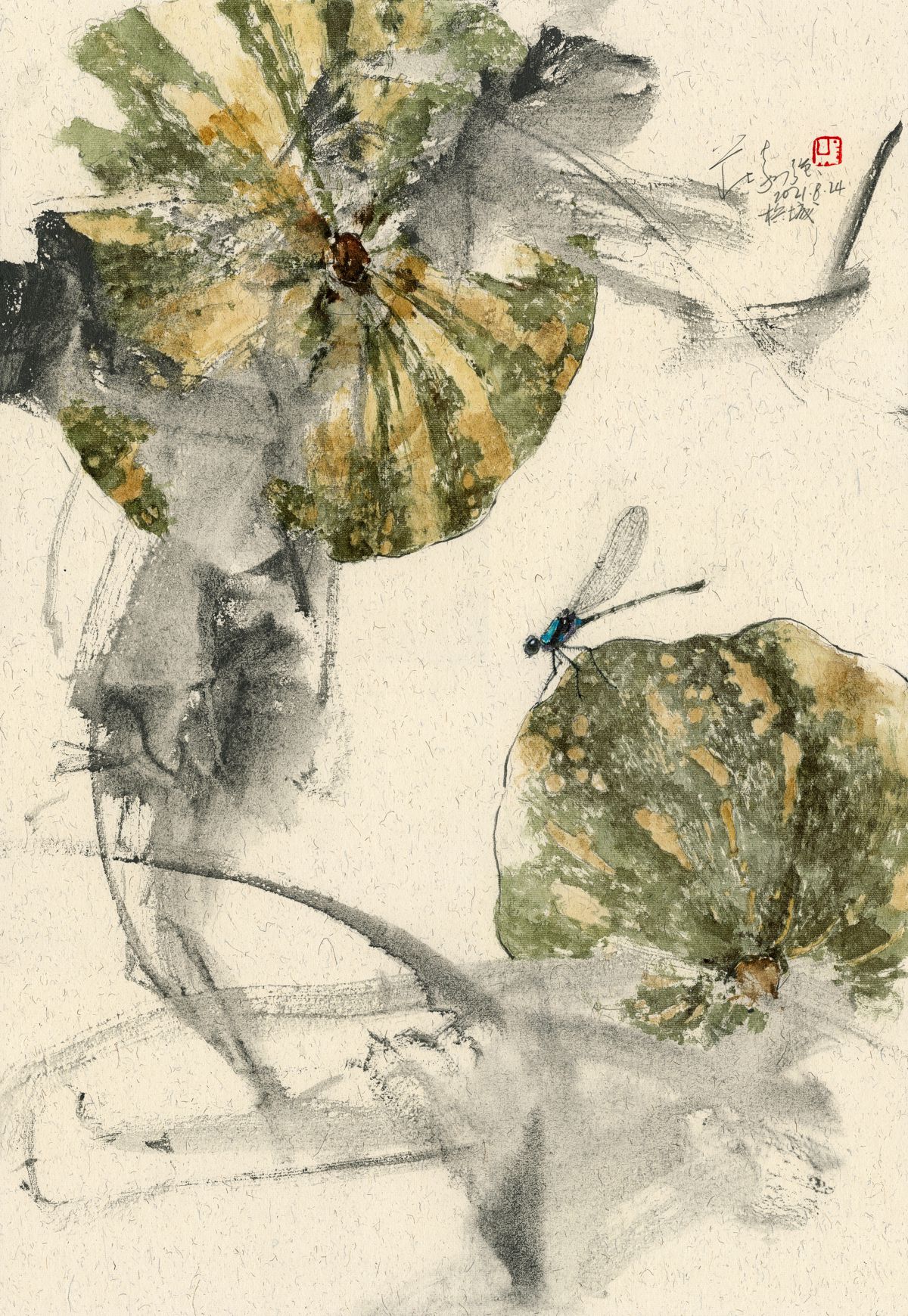 20210824 Pumpkin Dragonfly Series I