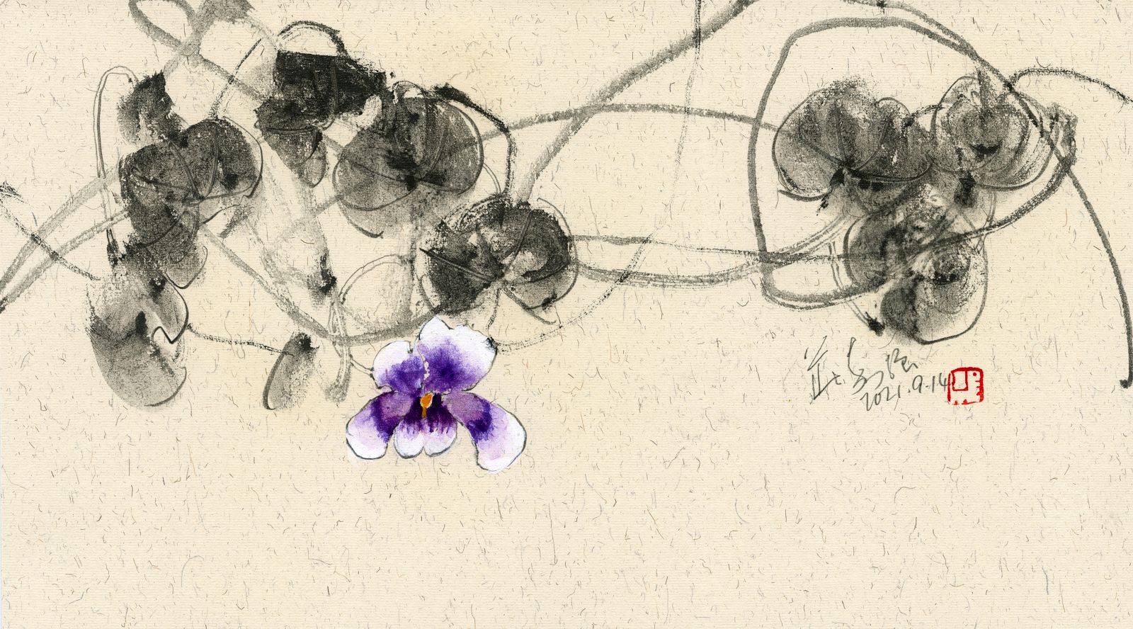 20210914 Native Viola