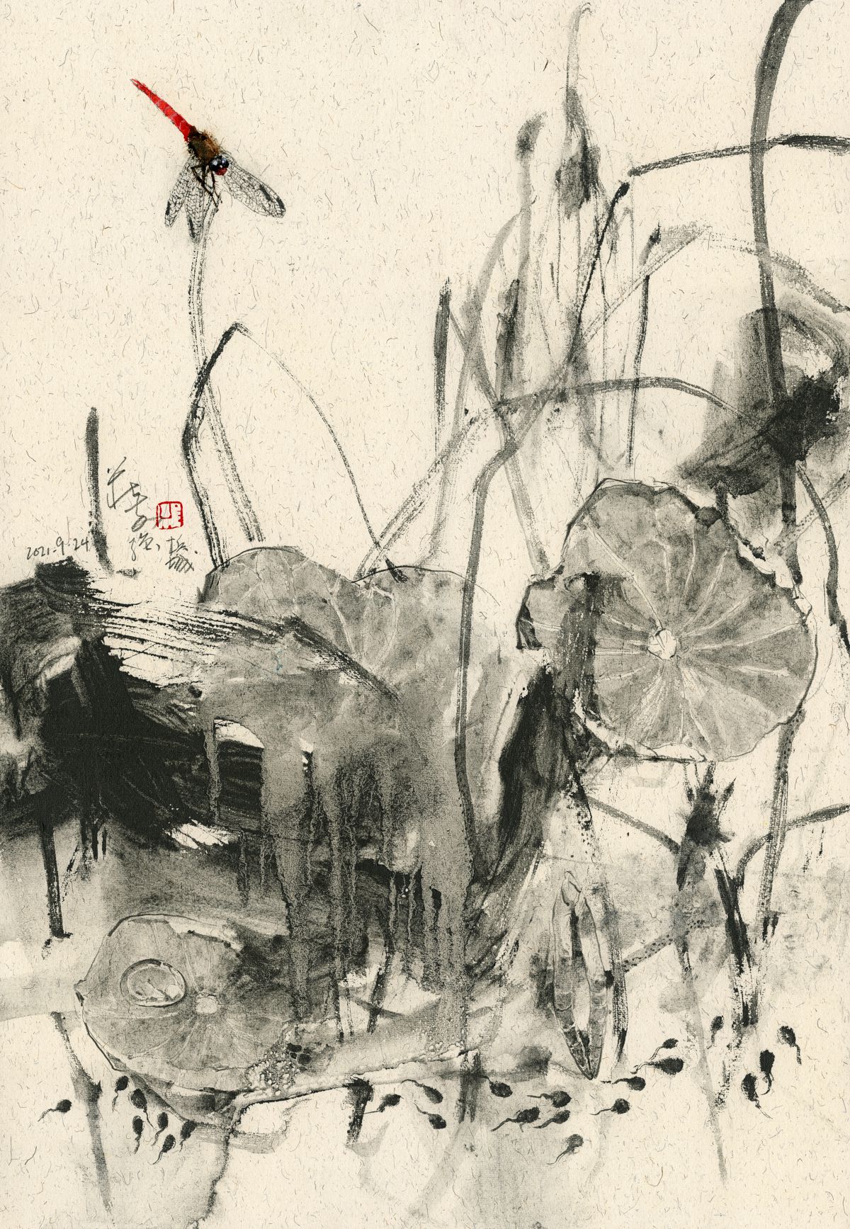 20210924 Red Dragonfly & Tadpoles Series I
