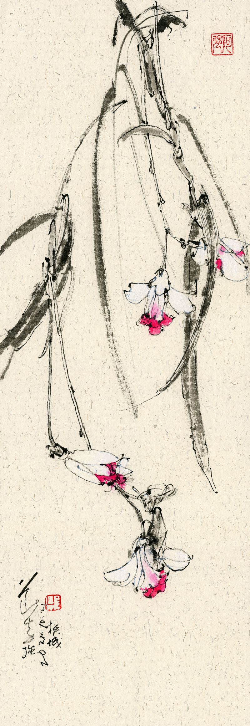 20211021 Bamboo Orchid