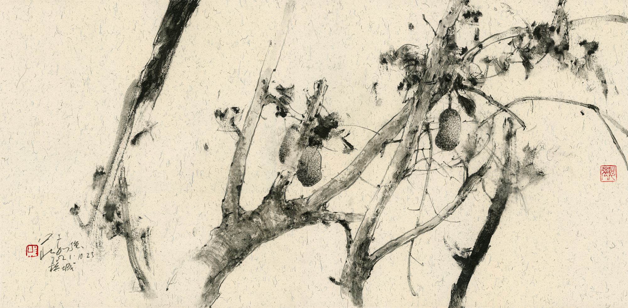 20211023 Chempedak Tree