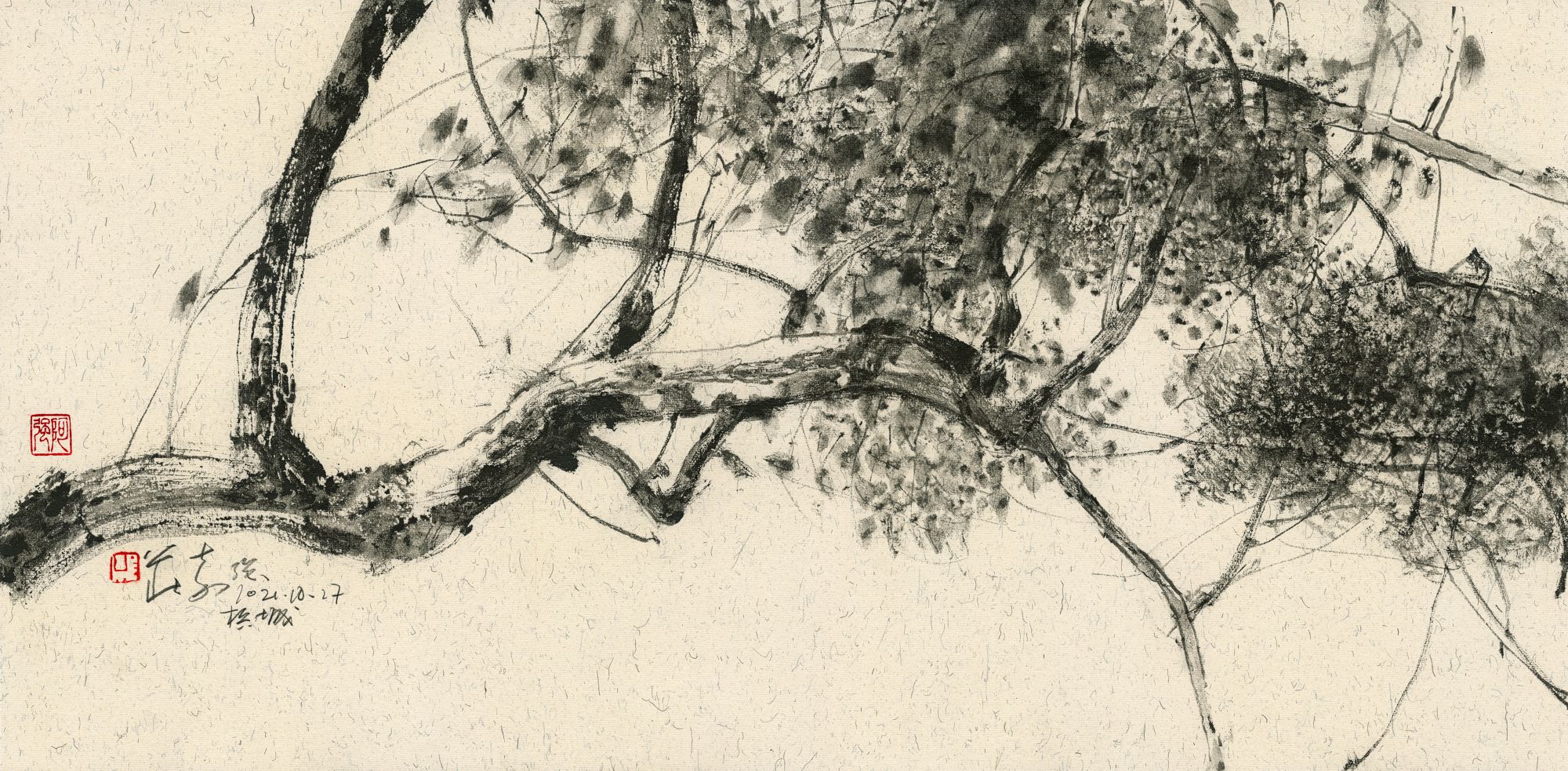 20211027 Catalpa Tree