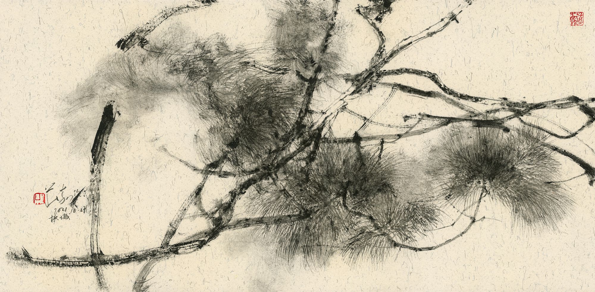 20211027 Pine Tree