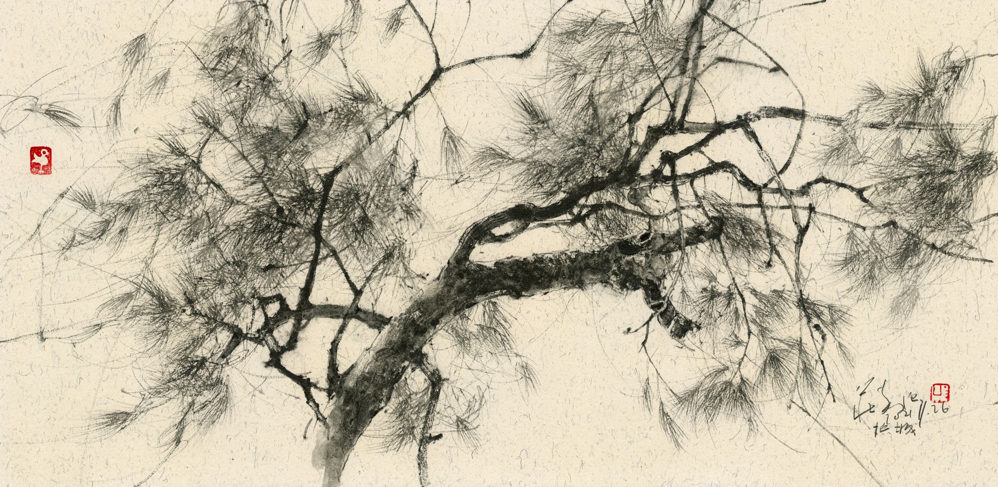 20211126 Casuarina Tree