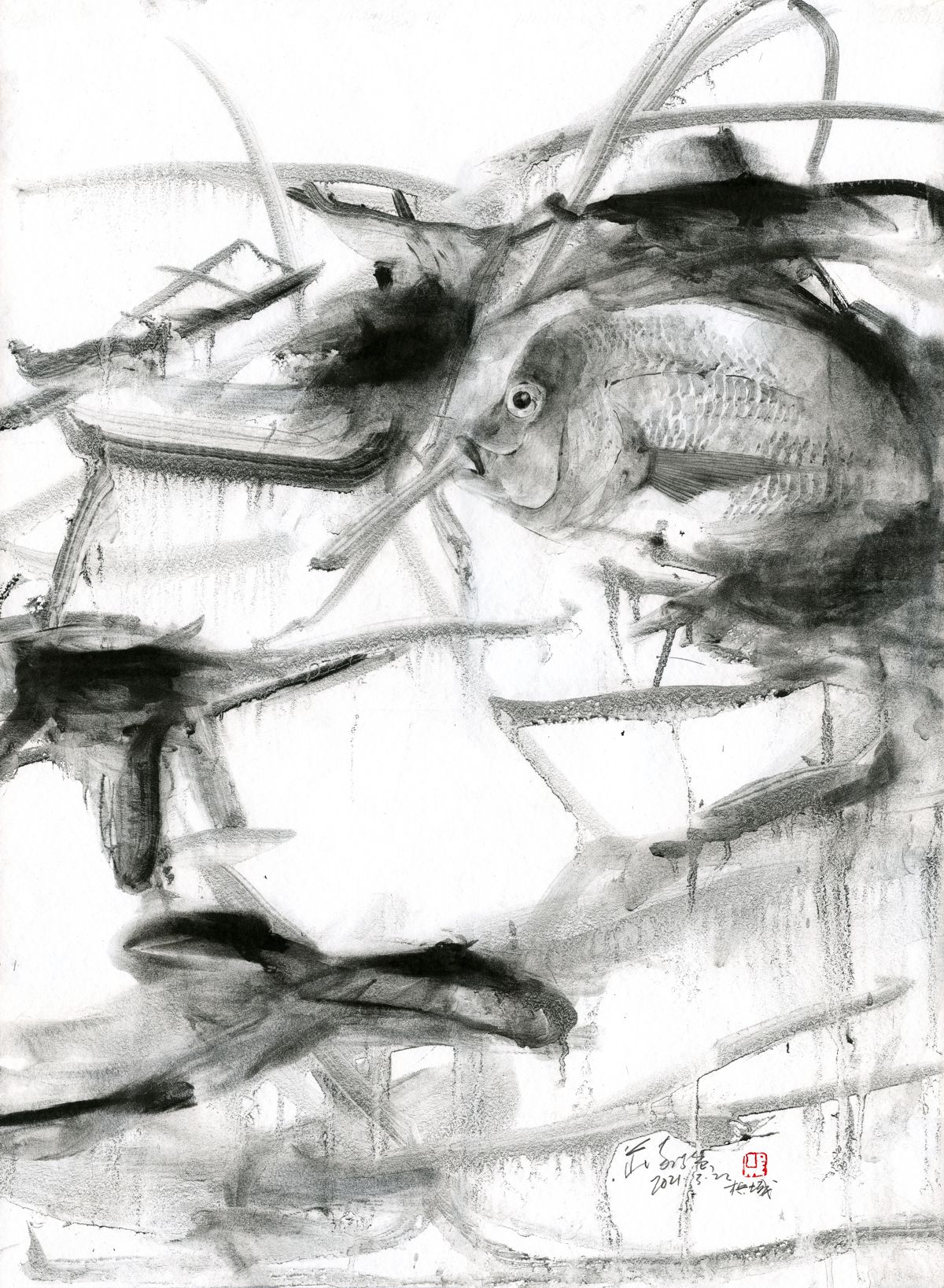 20210322 Fish Series IV