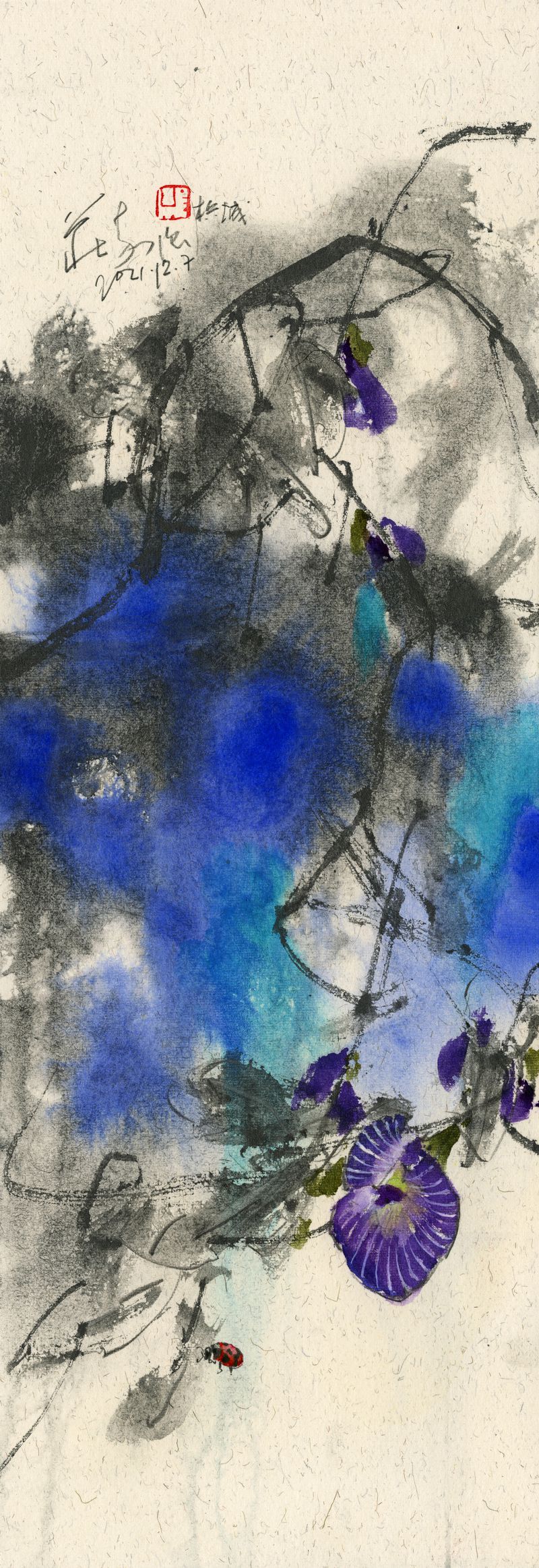 20211207 Butterfly Pea & Ladybird