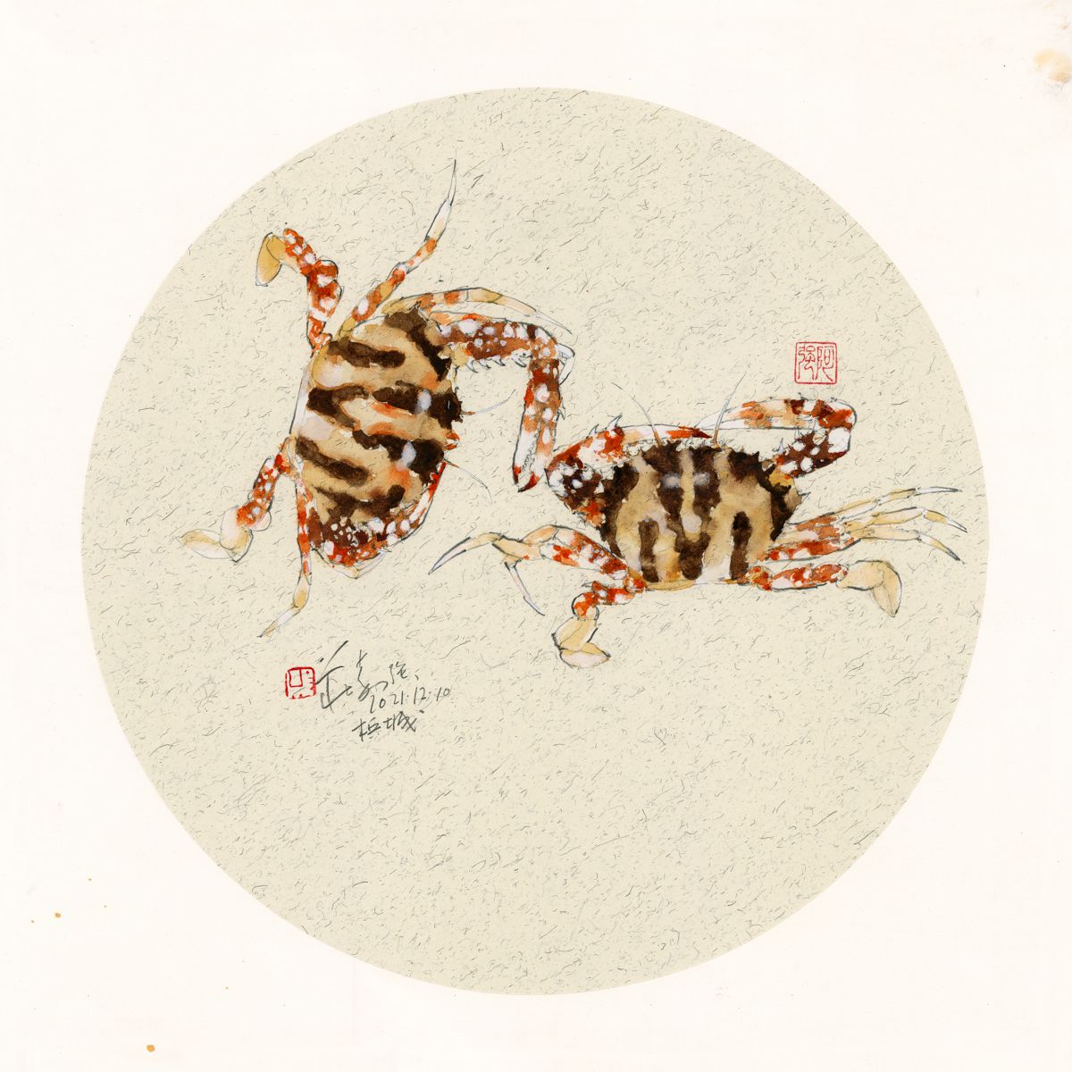 20211210 Two Crabs