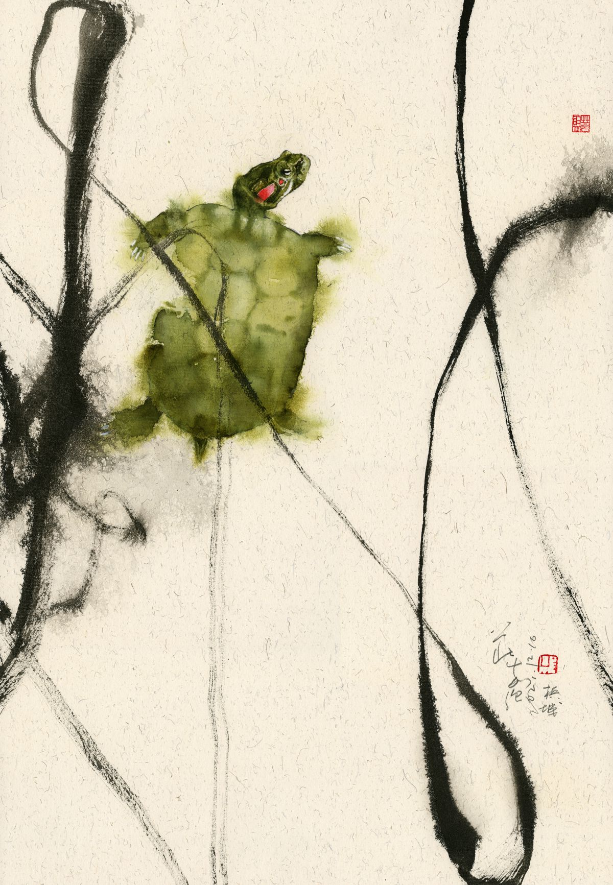 20211216 Turtle