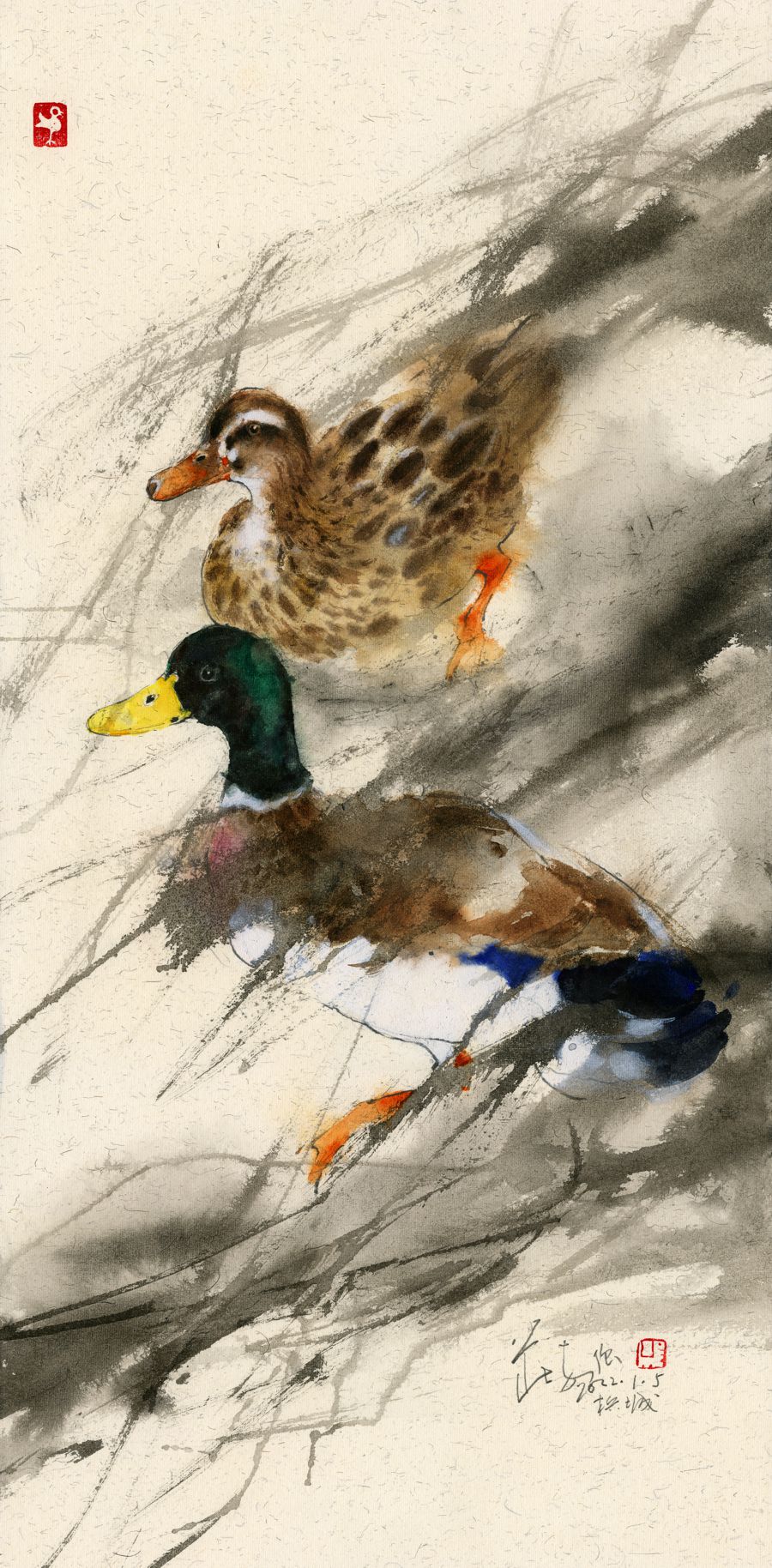 20220105 Two Ducks in The Wind