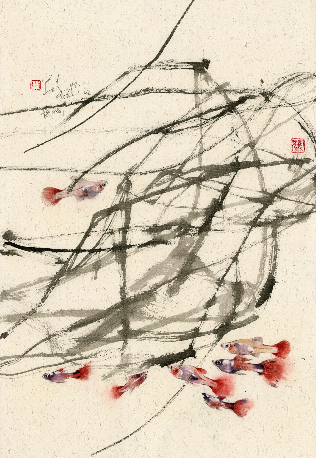 20220112 Guppy Series I