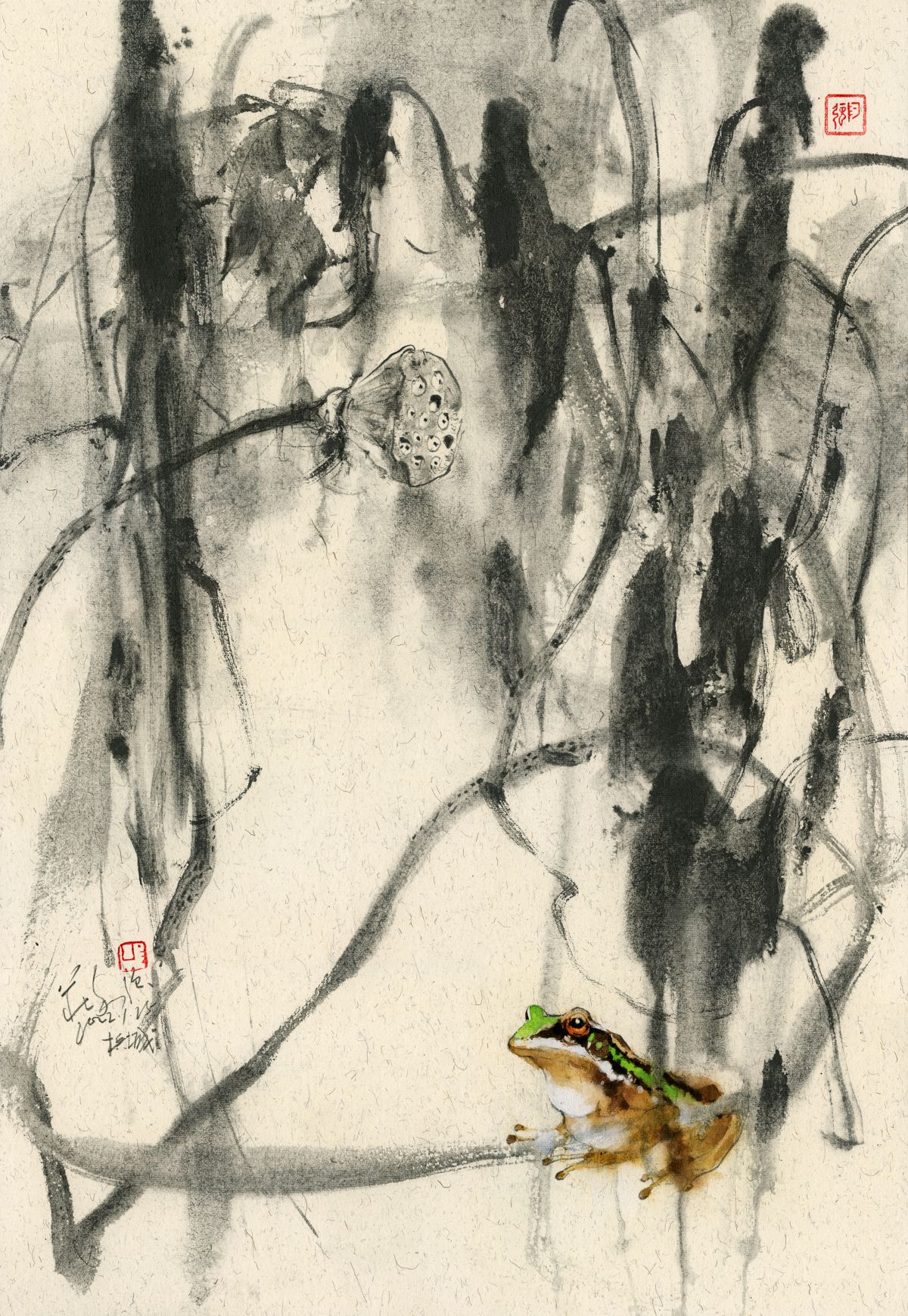 20220125 Frog & Lotus