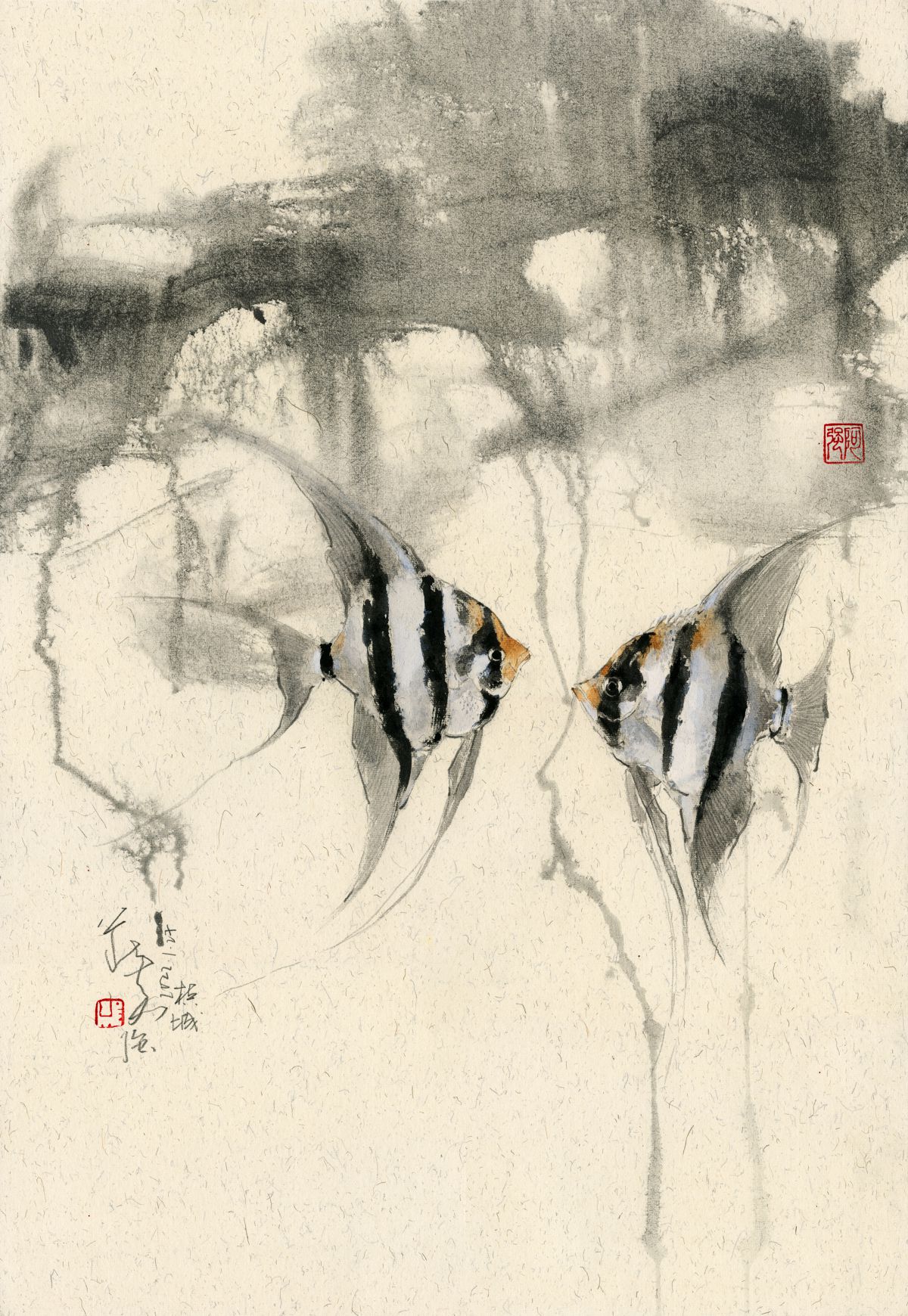 20220127 Angel Fish Pair