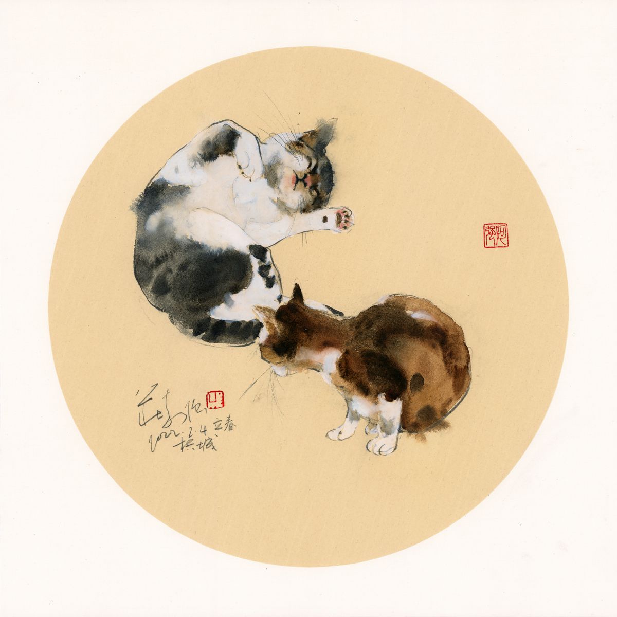 20220204 Playing Cats