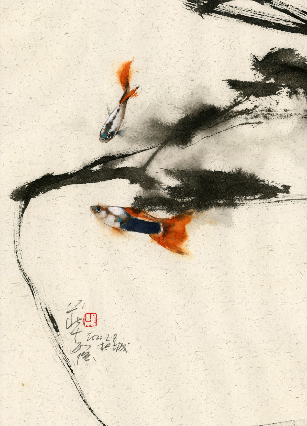 20220208 Guppy Series III