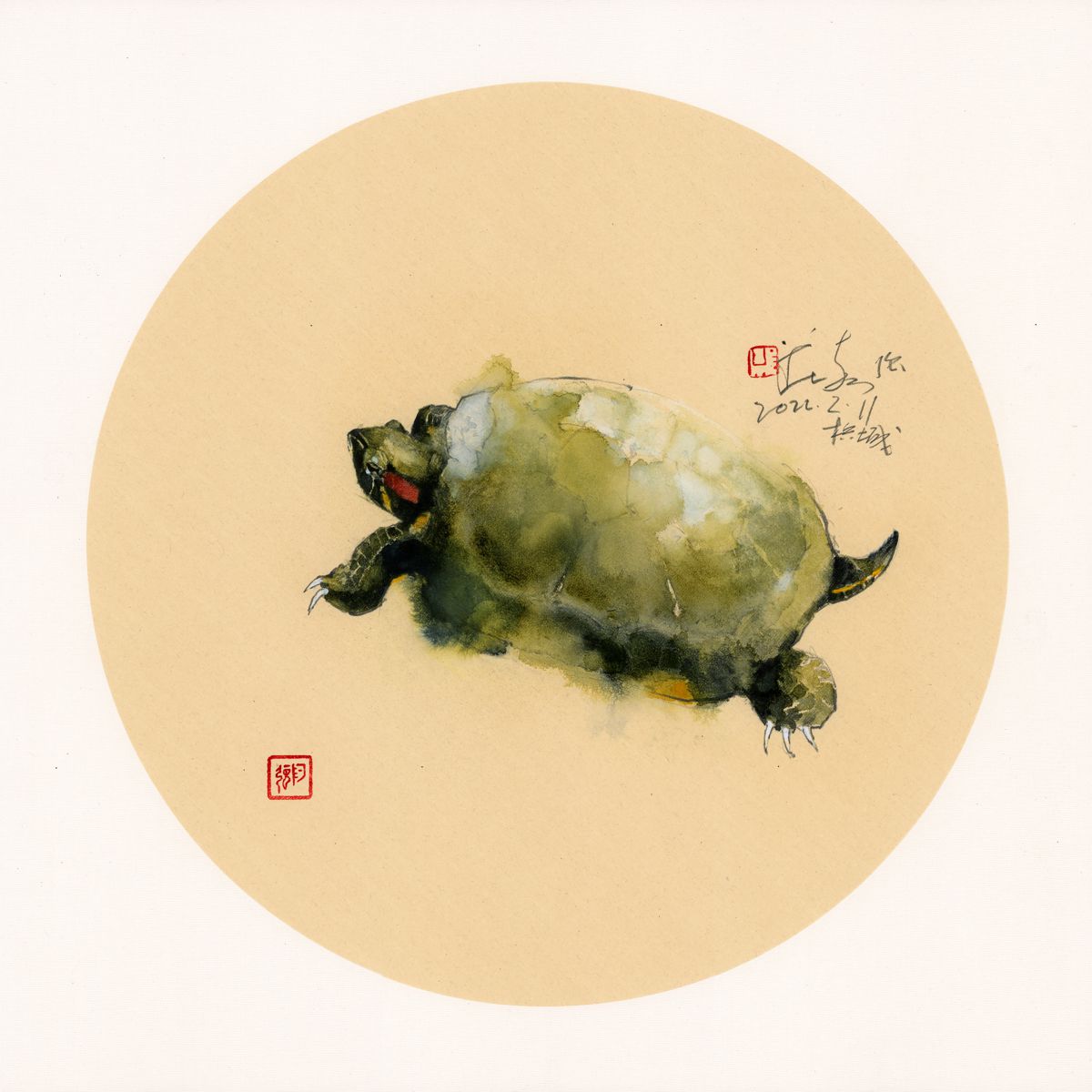 20220211 Turtle