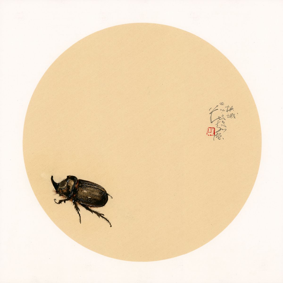 20220308 Beetle