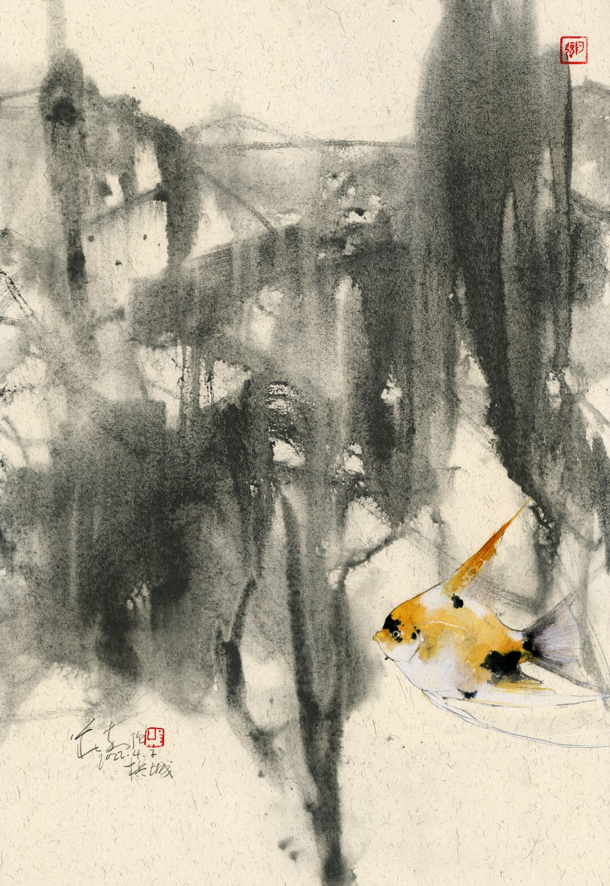 20220407 Golden Angel Fish