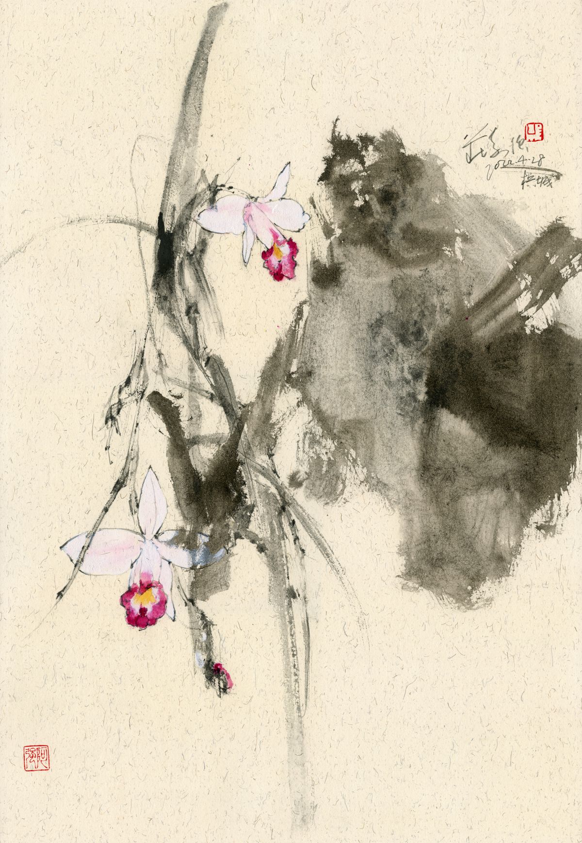 20220428 Bamboo Orchids
