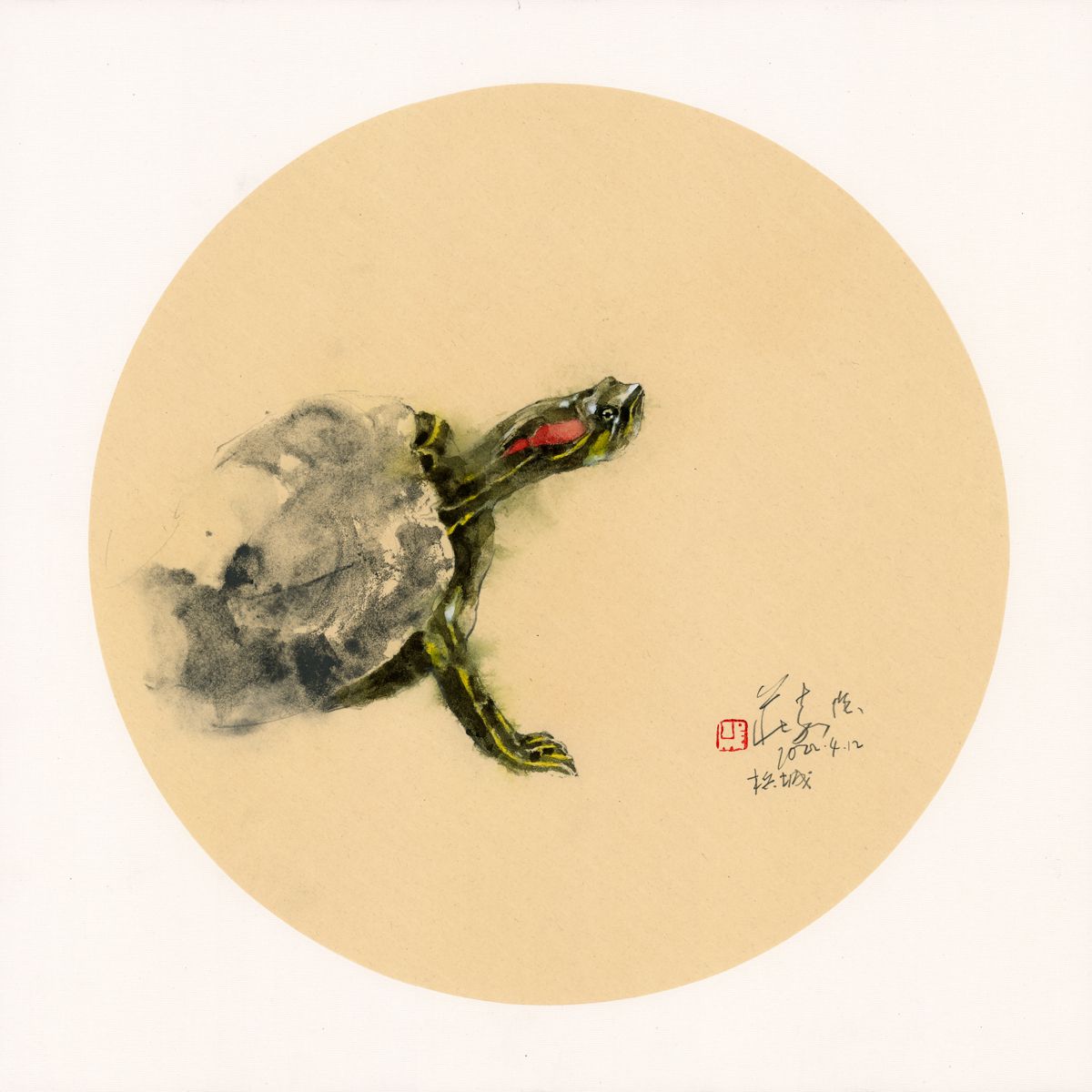 20220412 Turtle