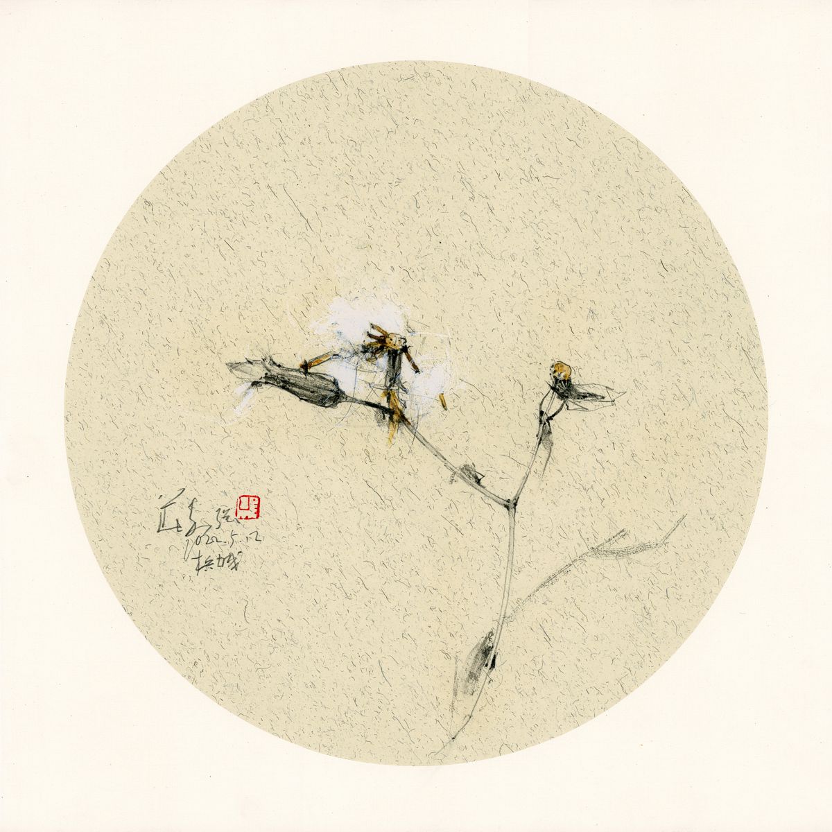20220601 Wild Plant Series