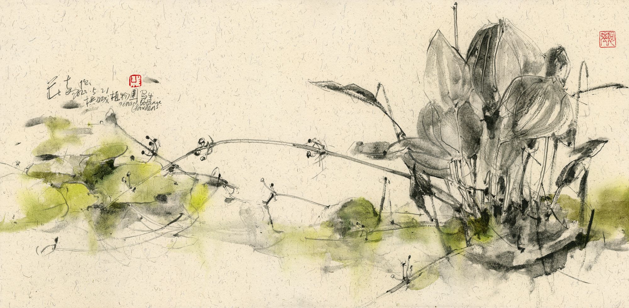 20220521 Lotus Pond, Penang Botanic Gardens