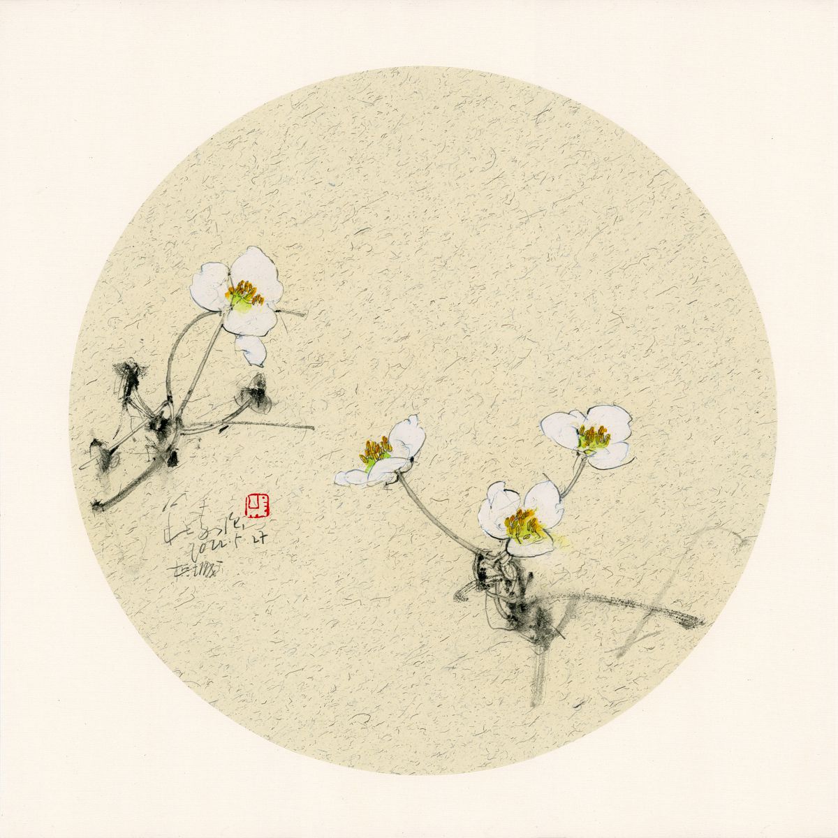 20220527 Sagittaria latifolia