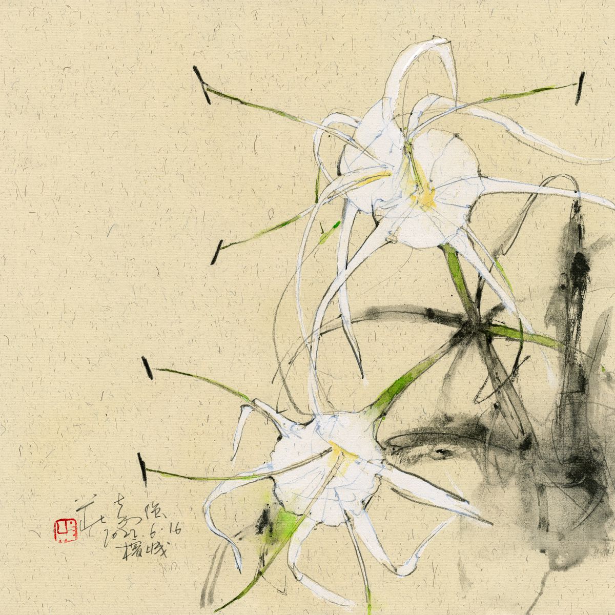 White Flower Series