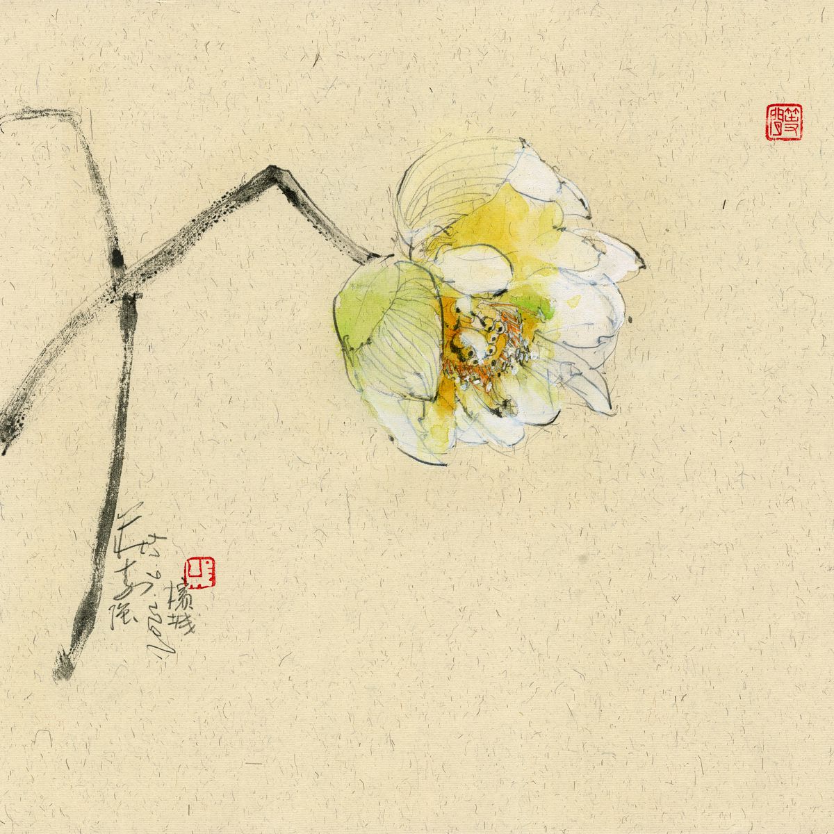 20220624 White Lotus