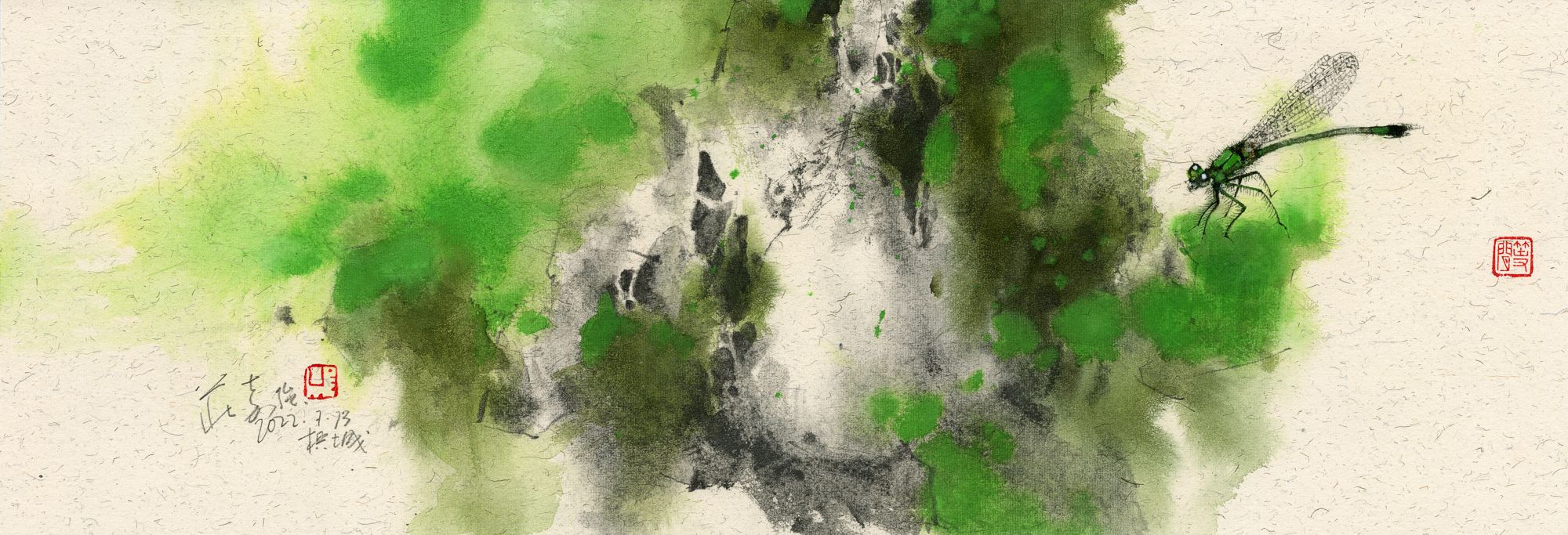 20220713 Green Dragonfly