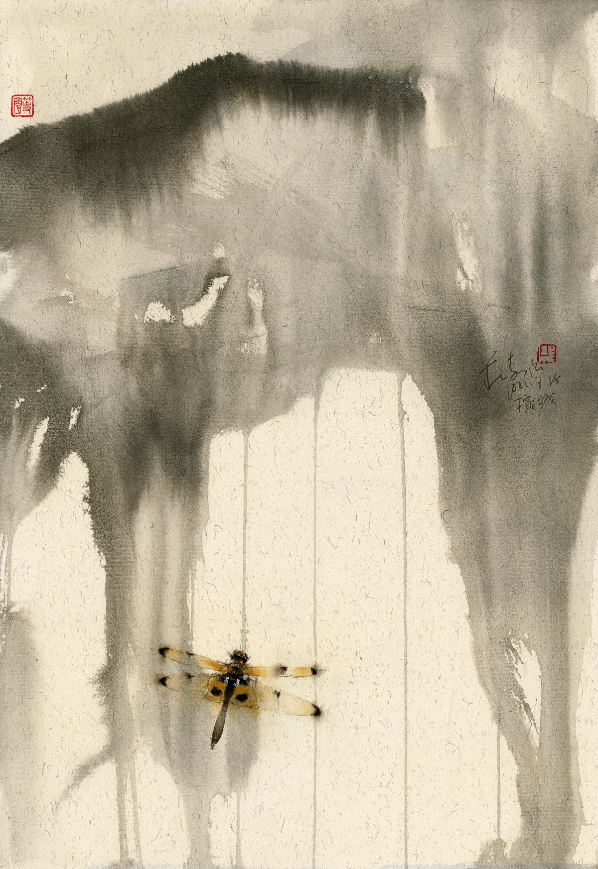 20220725 Yellow-striped Flutterer Dragonfly