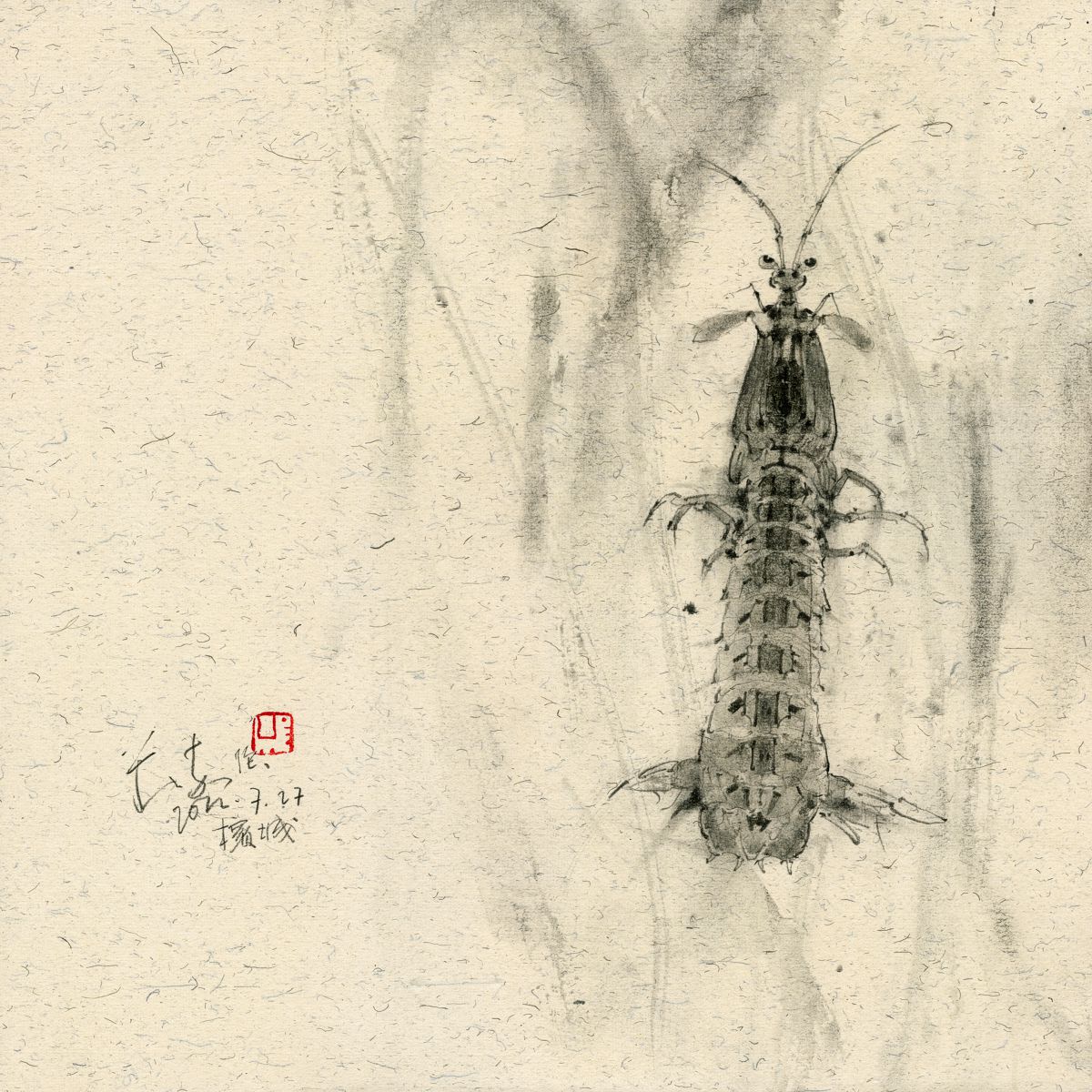 20220727 Mantis Shrimp